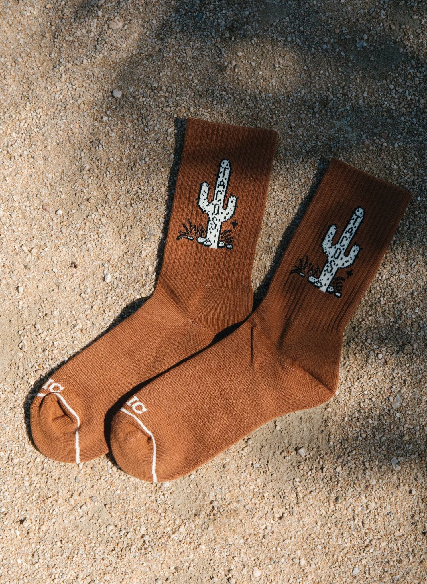 Cactus Taco Western Crew Socks - Purpose + Passion Boutique