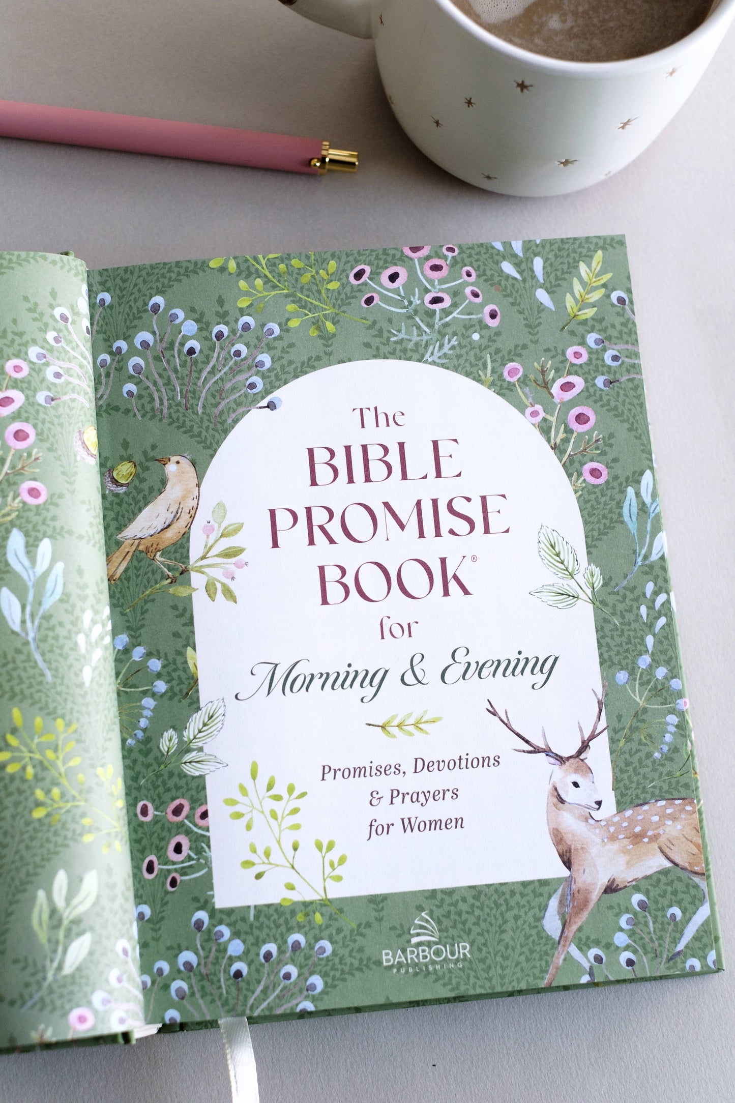 The Bible Promise Book for Morning and Evening