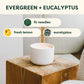 Evergreen + Eucalyptus Ceramic 3-Wick Soy Candle