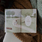 Christ - Centered Family: Pointing Your Family to Jesus Every Day - Purpose + Passion Boutique