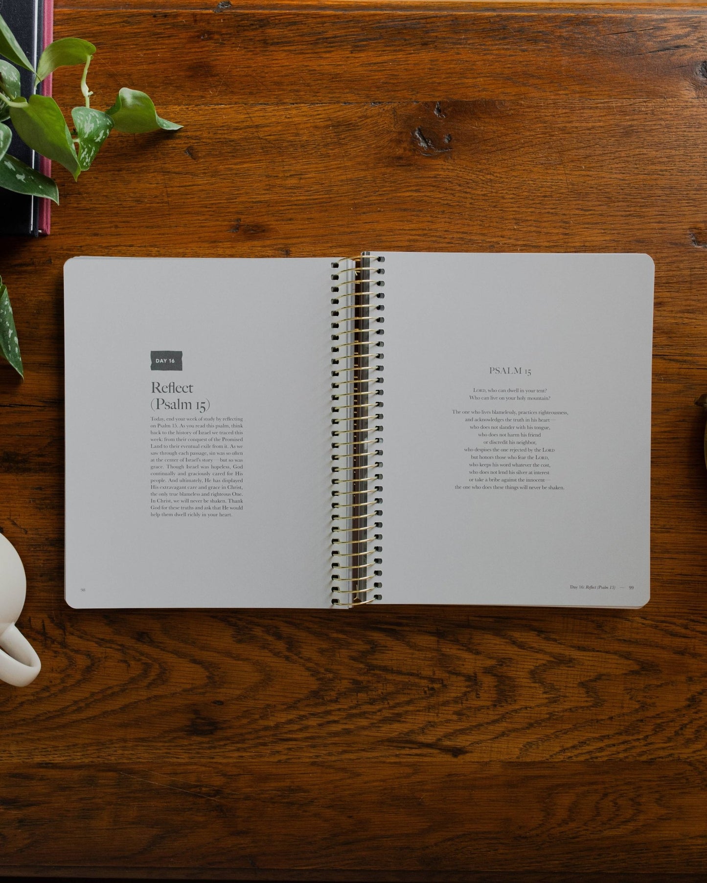 Clinging to the Cross Lent Bible Study - Purpose + Passion Boutique