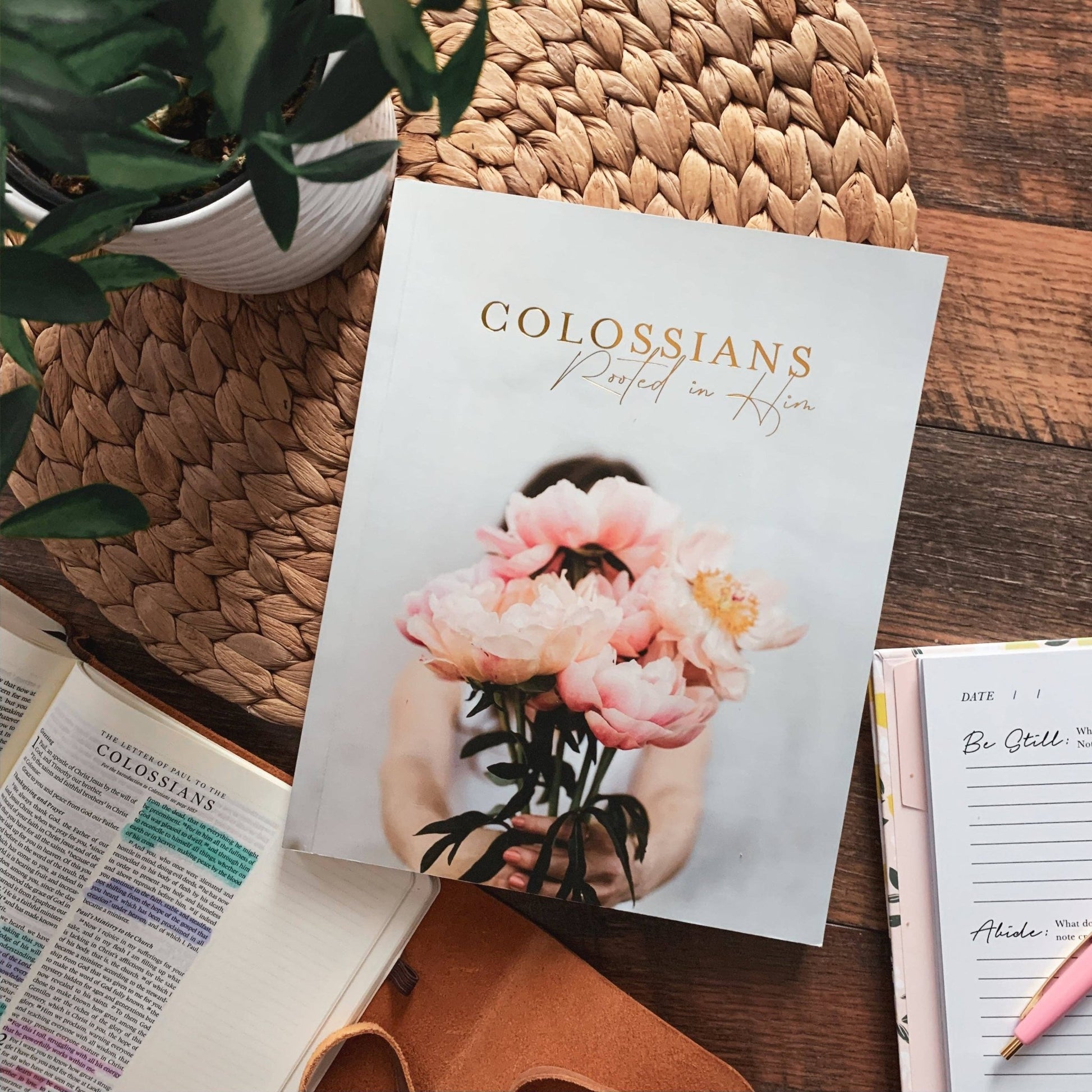 Colossians Bible Study | Rooted in Him - Purpose + Passion Boutique