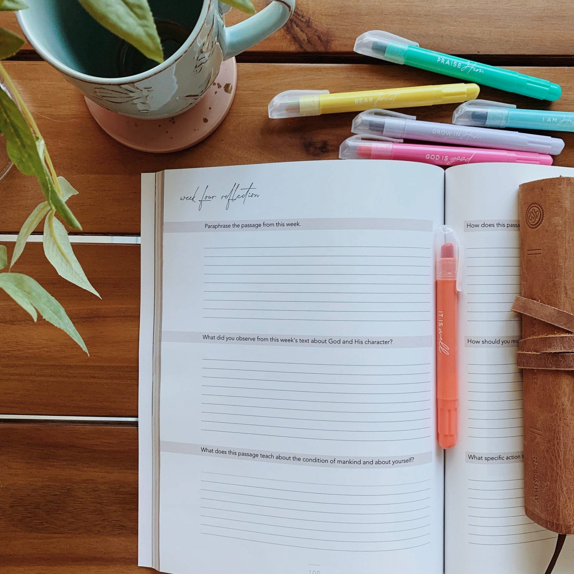 Colossians Bible Study | Rooted in Him - Purpose + Passion Boutique