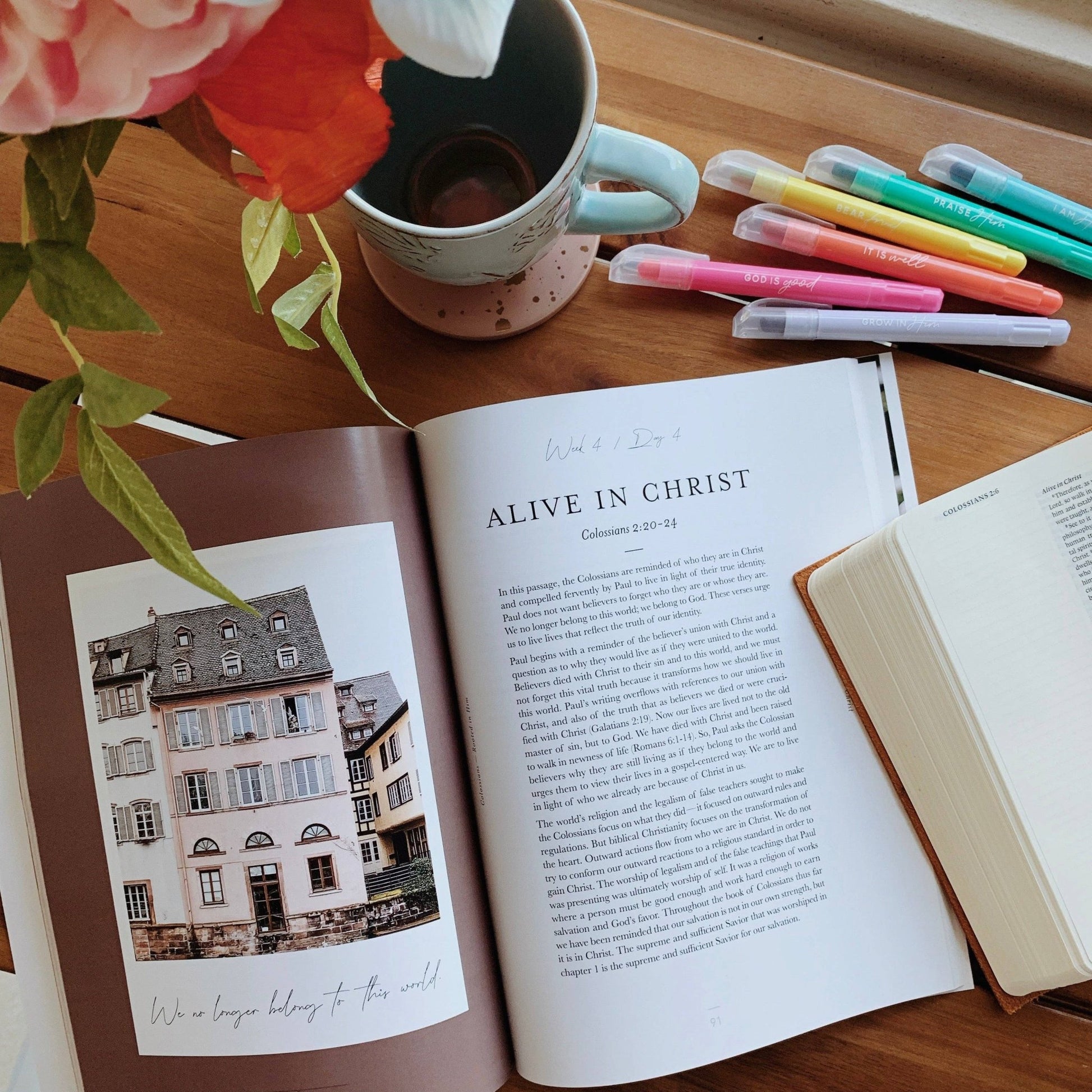 Colossians Bible Study | Rooted in Him - Purpose + Passion Boutique