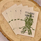 CORE Film Sticker - Stay Broke, Shoot Film - Purpose + Passion Boutique