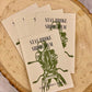 CORE Film Sticker - Stay Broke, Shoot Film - Purpose + Passion Boutique