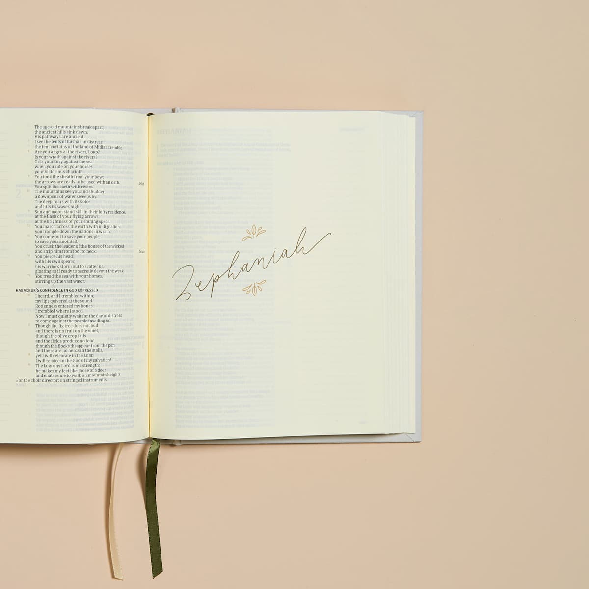 CSB Hosanna Revival Notetaking Bible, Lemons Edition - Purpose + Passion Boutique
