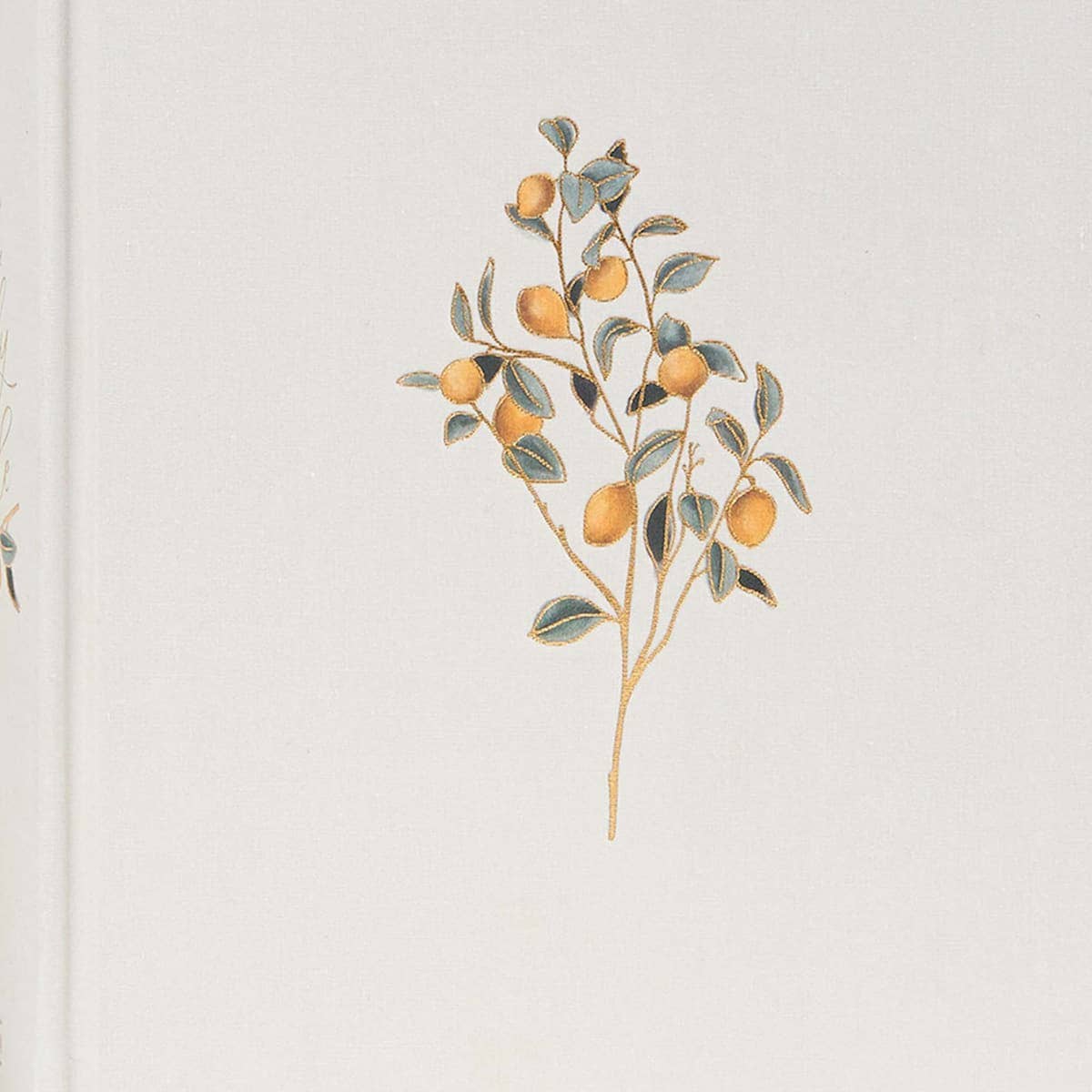 CSB Hosanna Revival Notetaking Bible, Lemons Edition - Purpose + Passion Boutique
