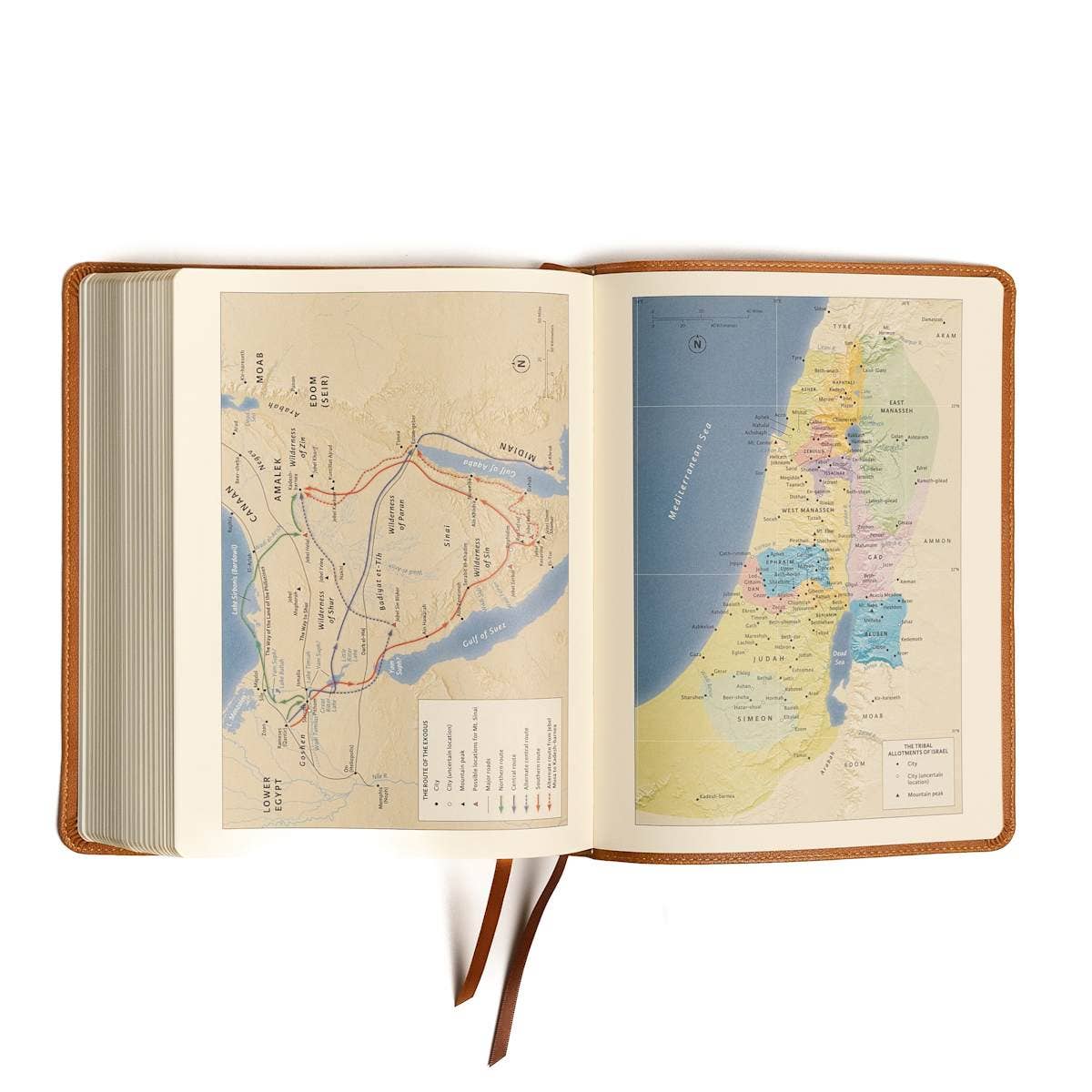 CSB Notetaking Bible Large Print Camel LeatherTouch - Purpose + Passion Boutique