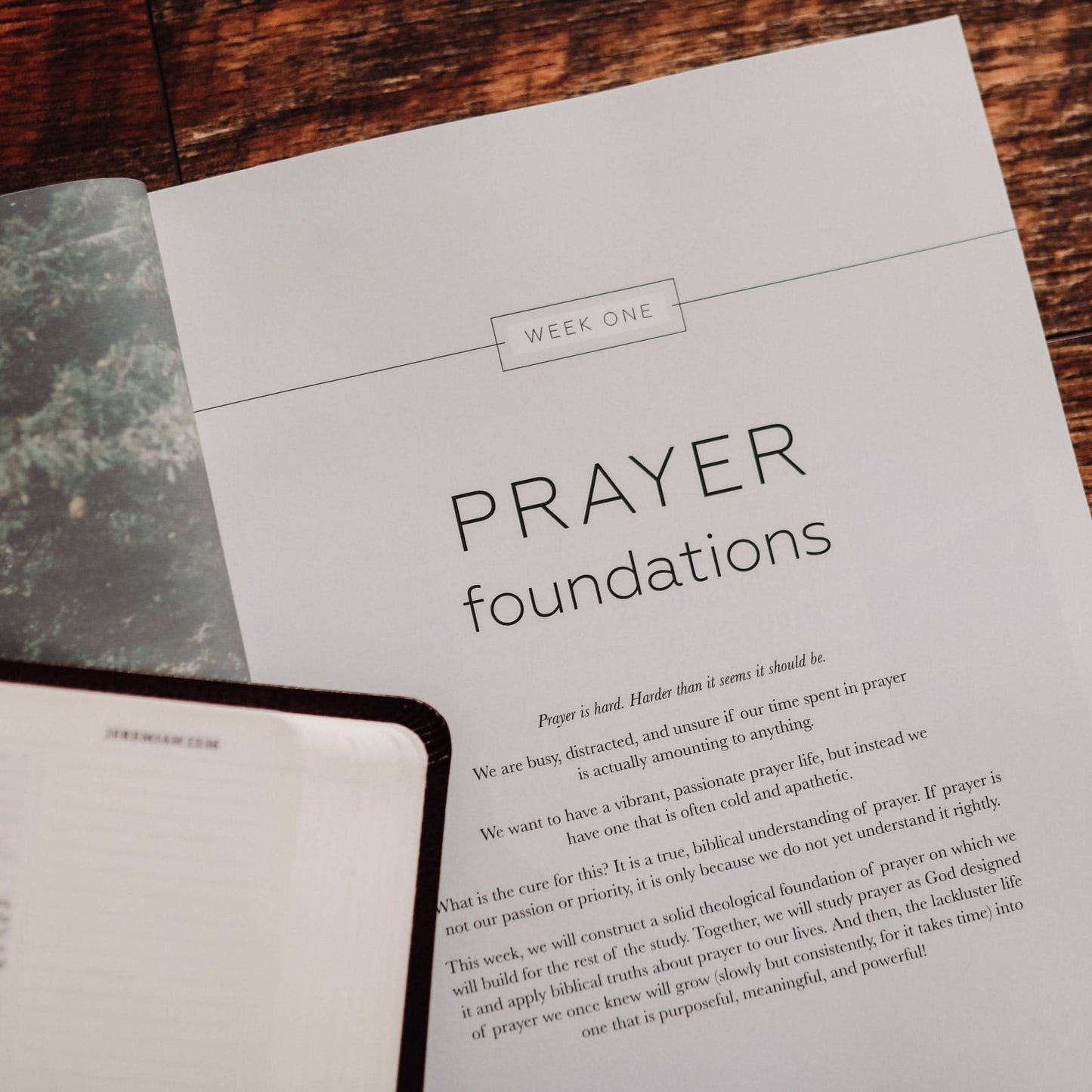 Cultivating a Passionate Practice of Prayer Men's Study - Purpose + Passion Boutique