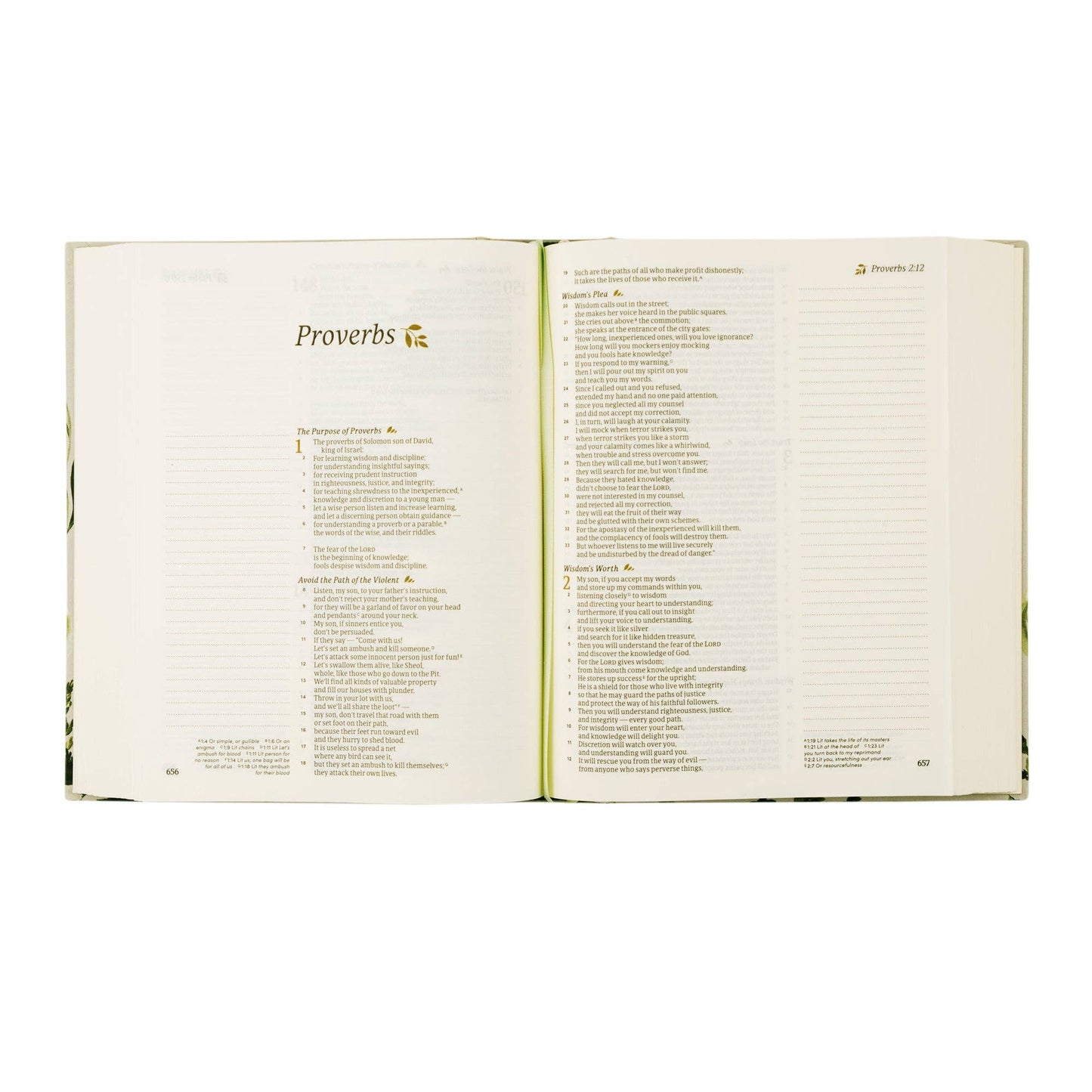 CSB Dorset Notetaking Bible