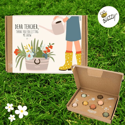 Dear Teacher, 7 Seed Flower Balls - Purpose + Passion Boutique
