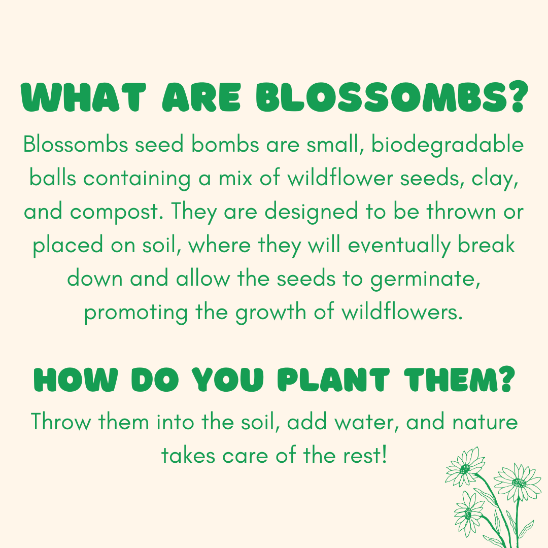 Dear Teacher, 7 Seed Flower Balls - Purpose + Passion Boutique