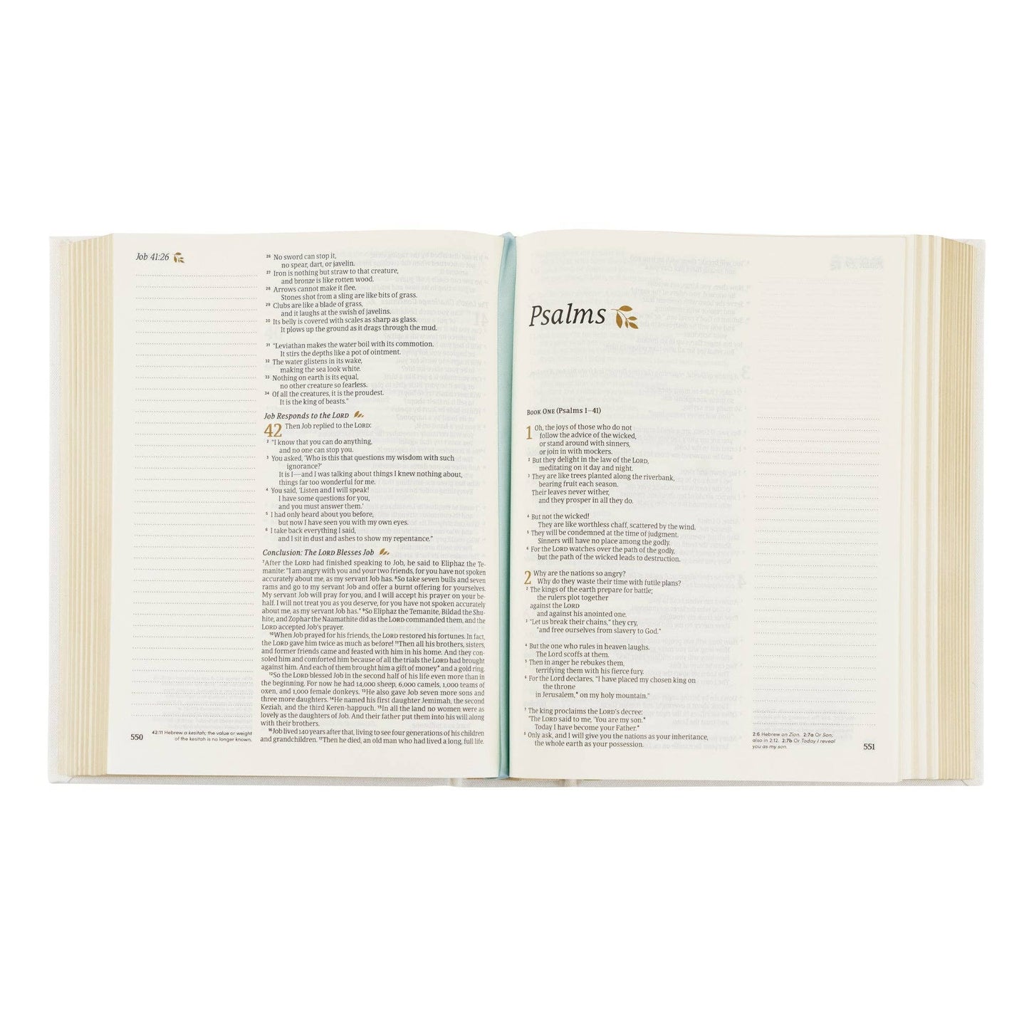 NLT Lisbon Notetaking Bible