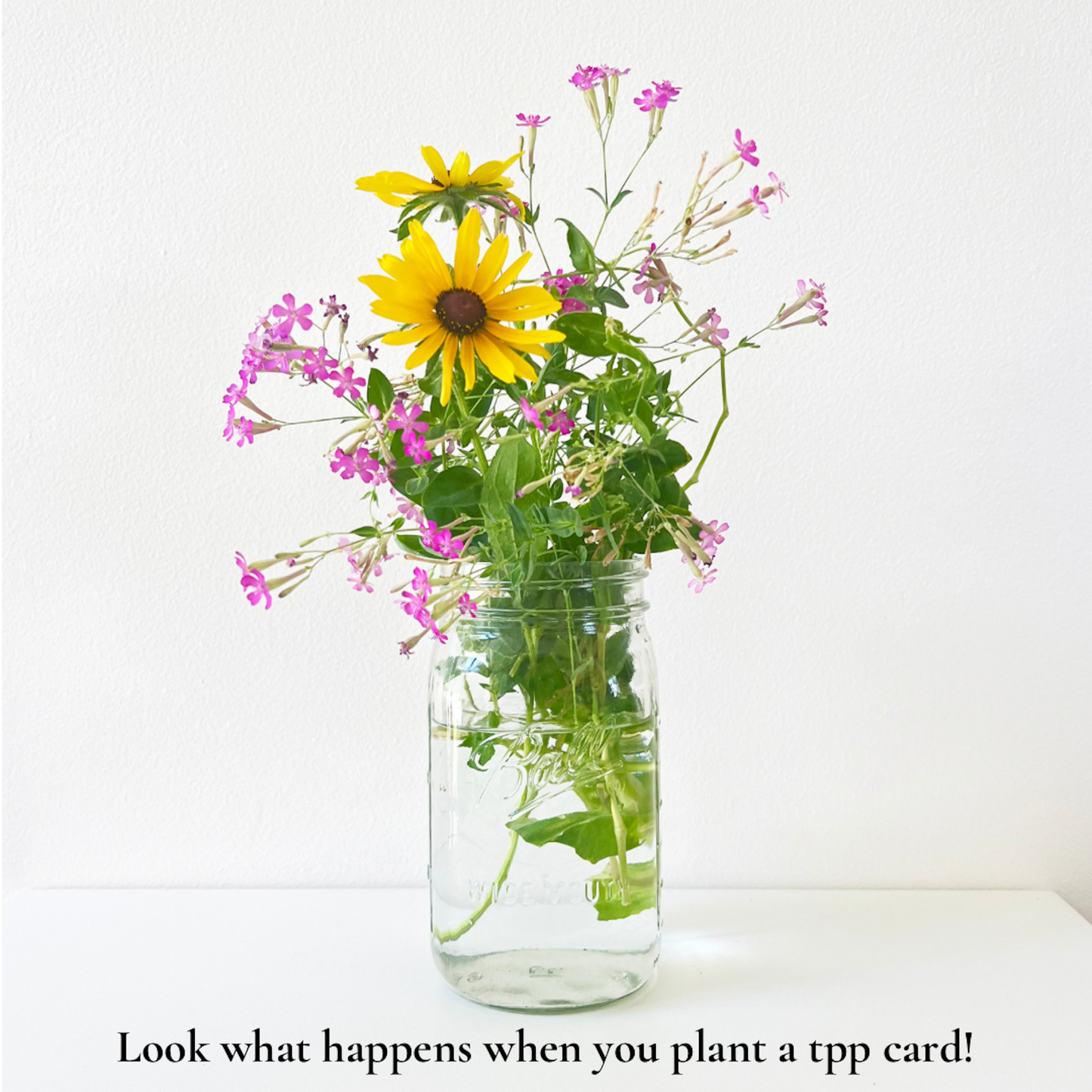 Thank You: Plantable Wildflower Thank You Card