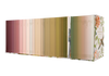 OT Set ESV Scripture Journals (PB, Ruth Chou Simons)