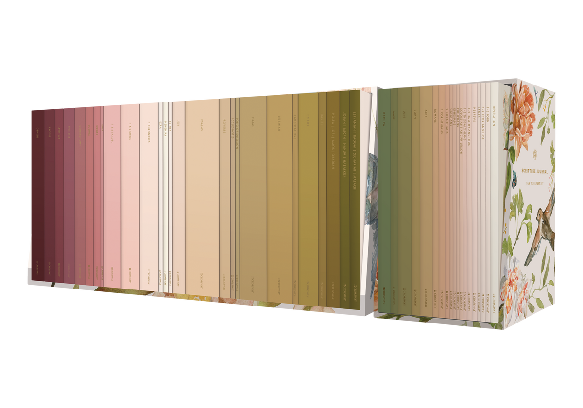 OT Set ESV Scripture Journals (PB, Ruth Chou Simons)
