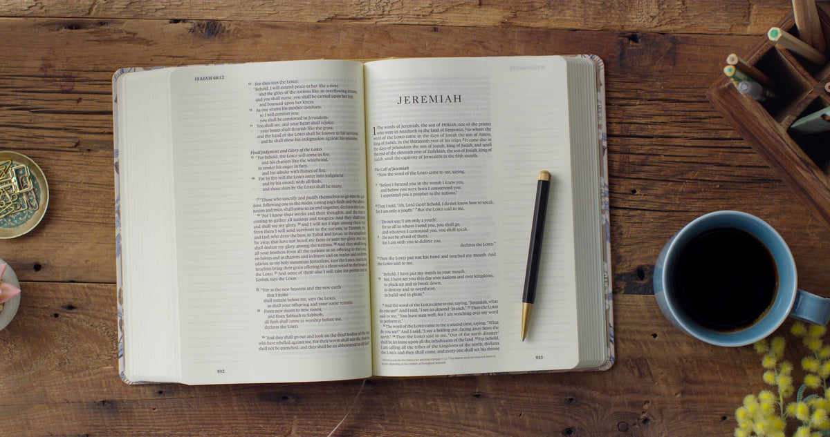Large Print ESV Single Column Journaling Bible®