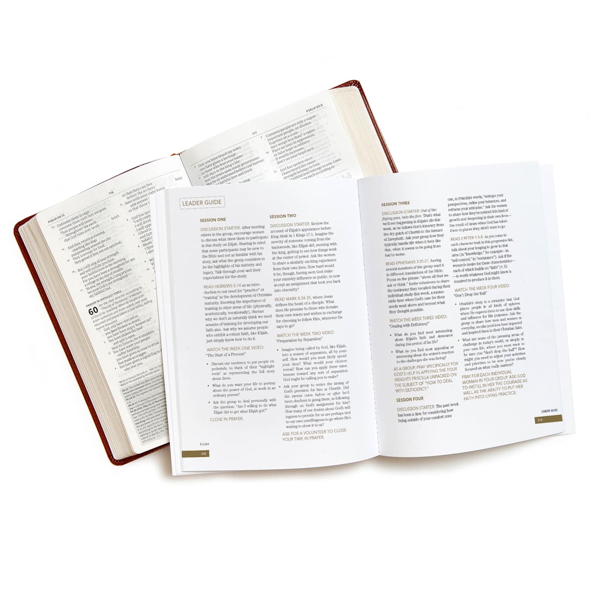 Elijah - Bible Study Book - Purpose + Passion Boutique