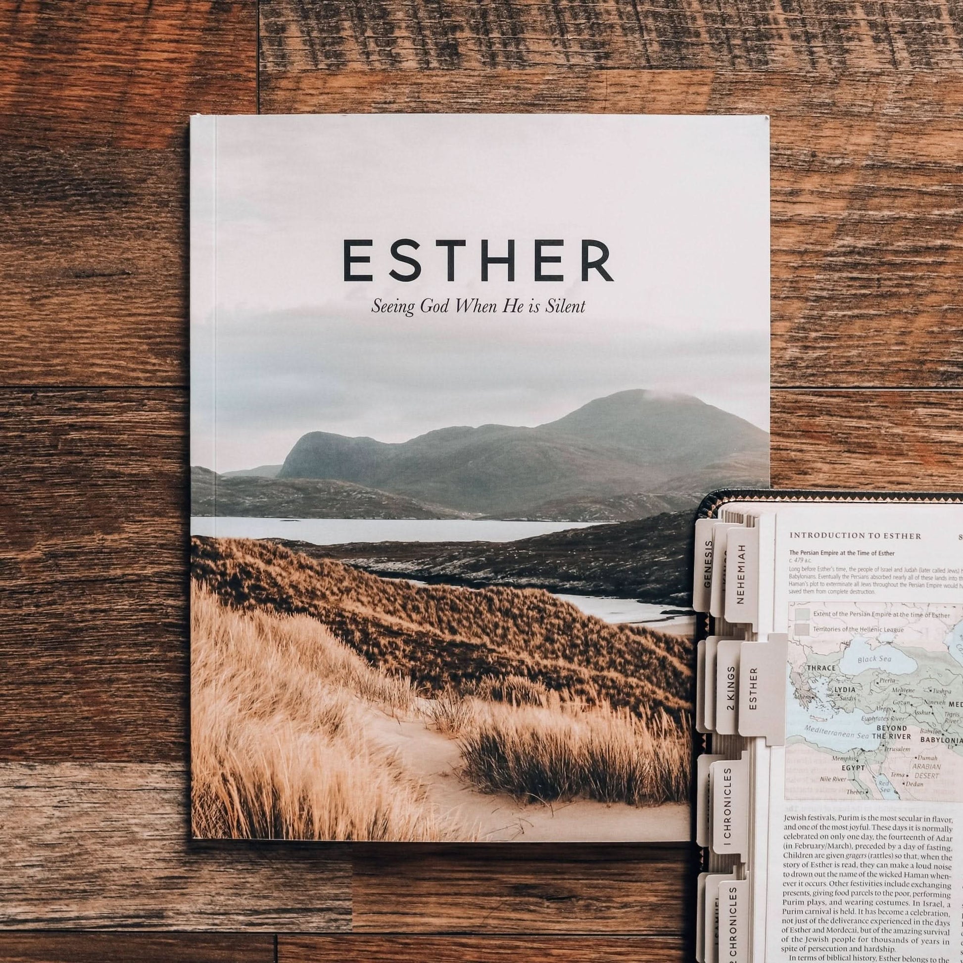 Esther | Seeing God When He Is Silent - Men - Purpose + Passion Boutique