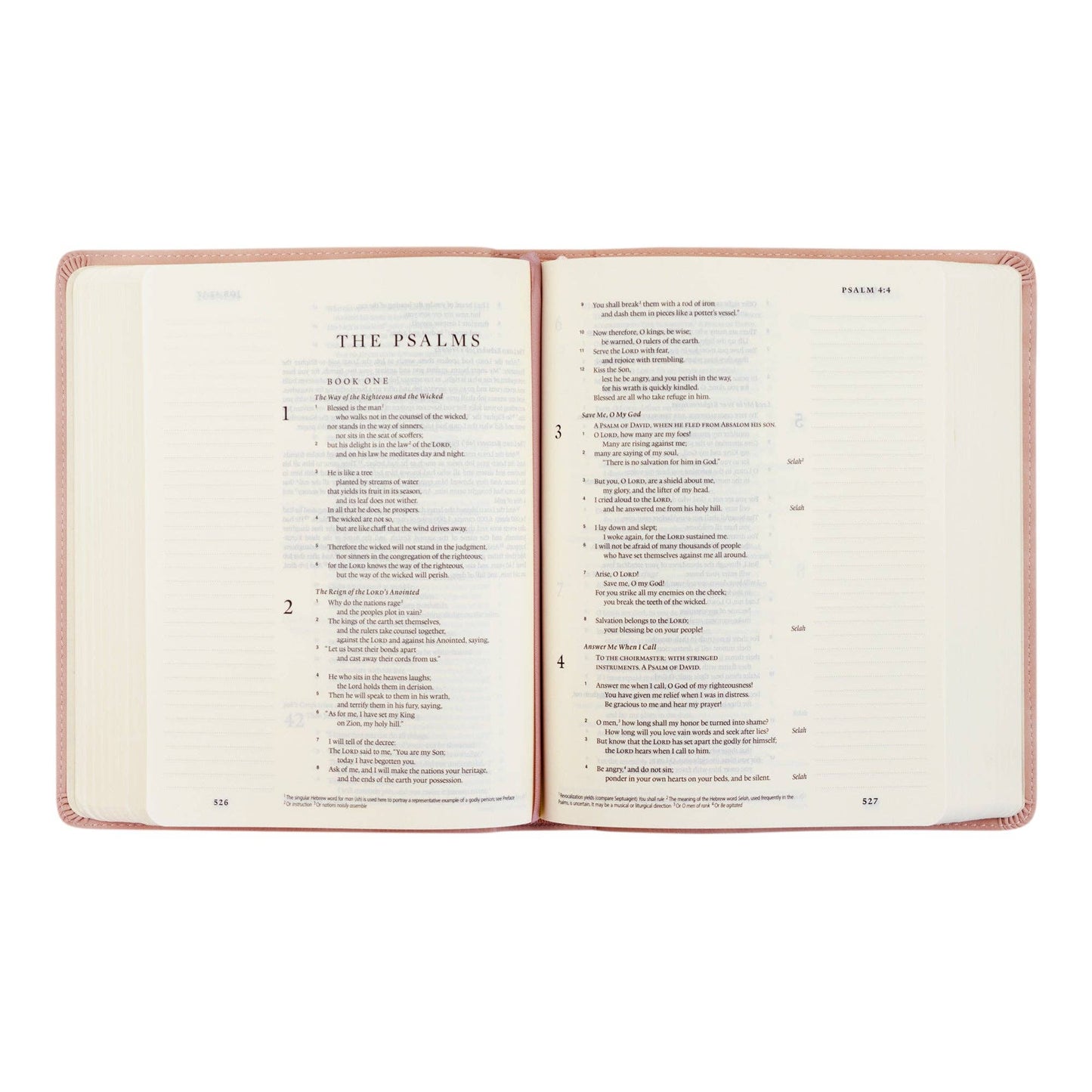 ESV Journaling Bible : Shiloh Theme - Purpose + Passion Boutique
