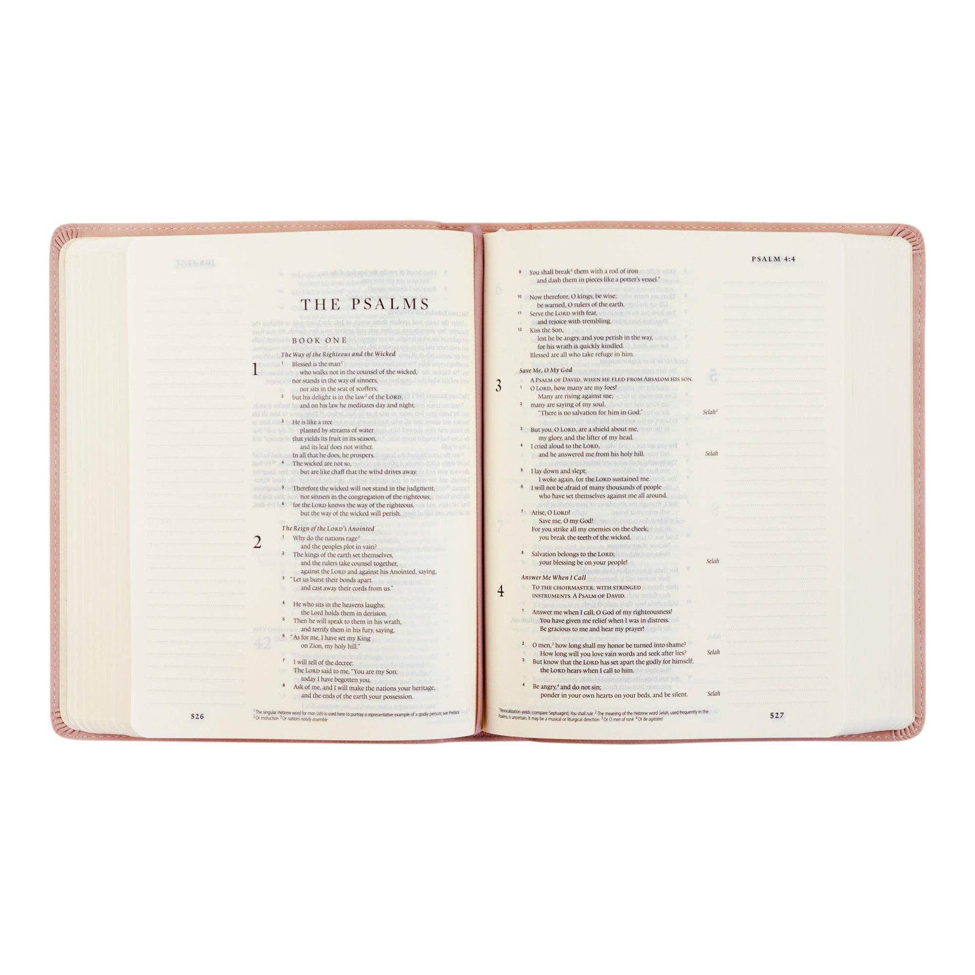 ESV Journaling Bible : Shiloh Theme - Purpose + Passion Boutique