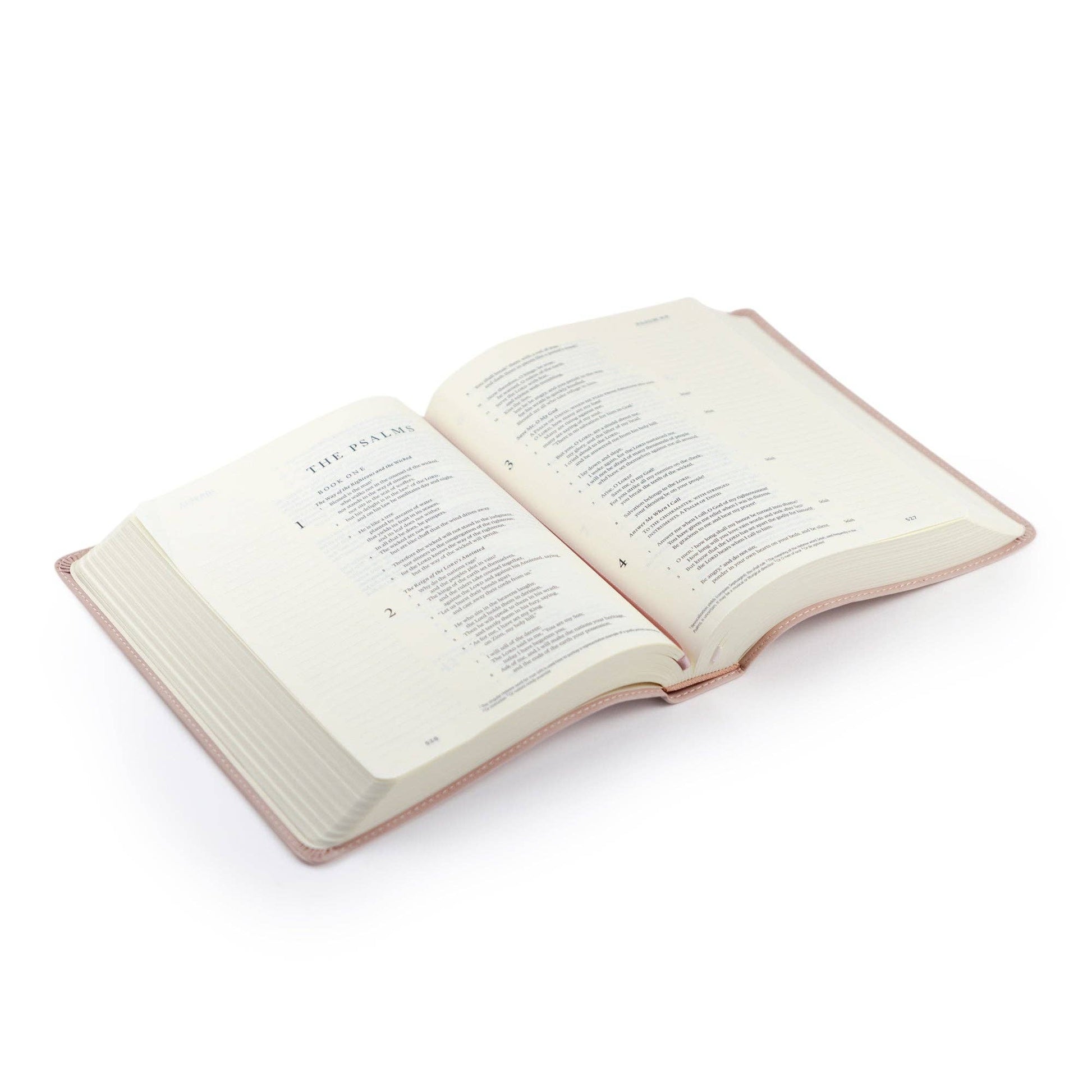 ESV Journaling Bible : Shiloh Theme - Purpose + Passion Boutique