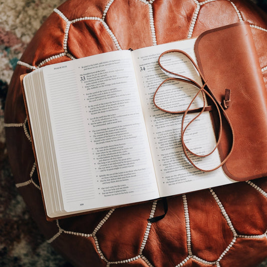 ESV Single Column Large Print Journaling Bible®  - Purpose + Passion Boutique