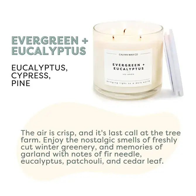 Evergreen+Eucalyptus - 3 Wick Clear Glass Tumbler Soy Candle - Purpose + Passion Boutique