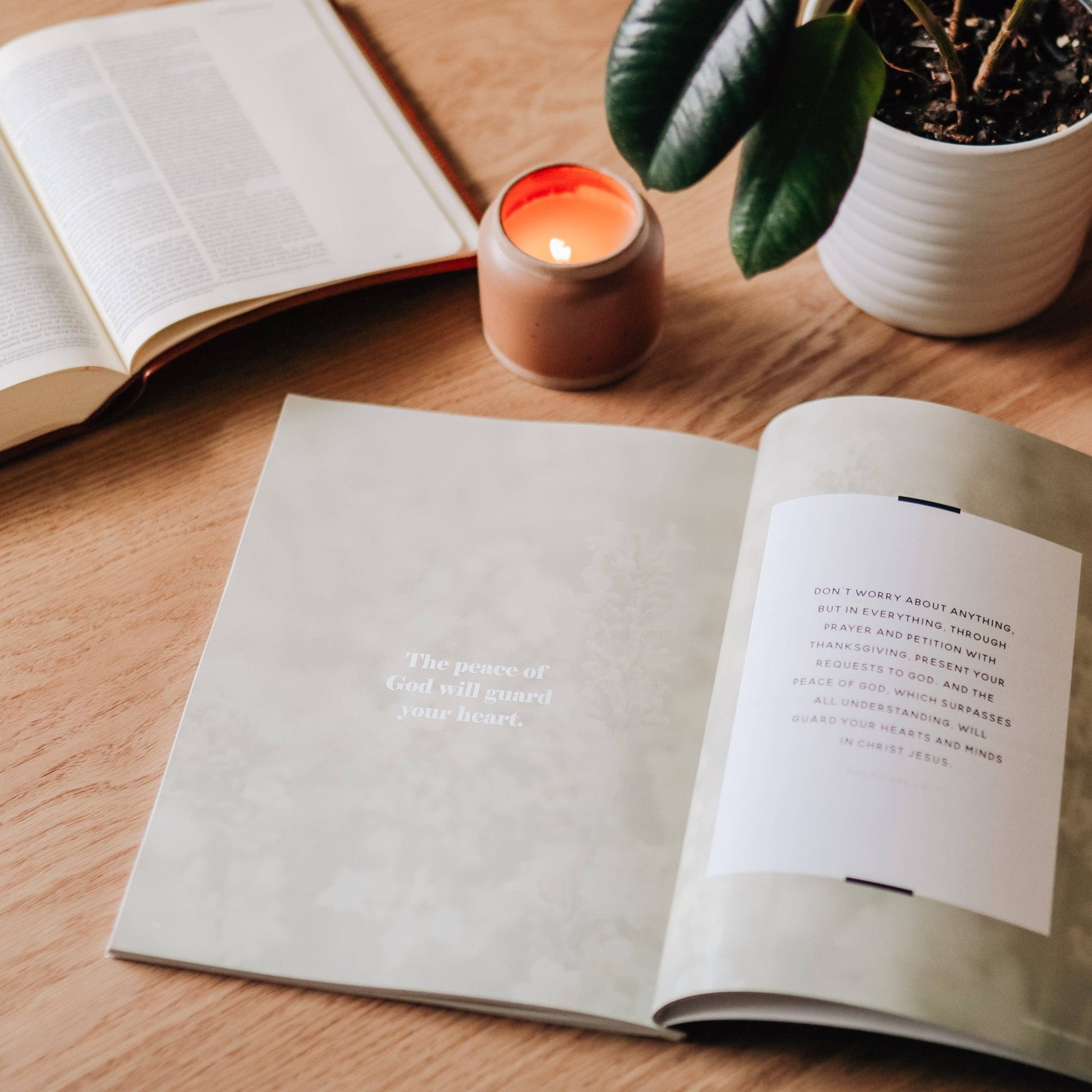 Fighting with Faith | Philippians Study - Purpose + Passion Boutique