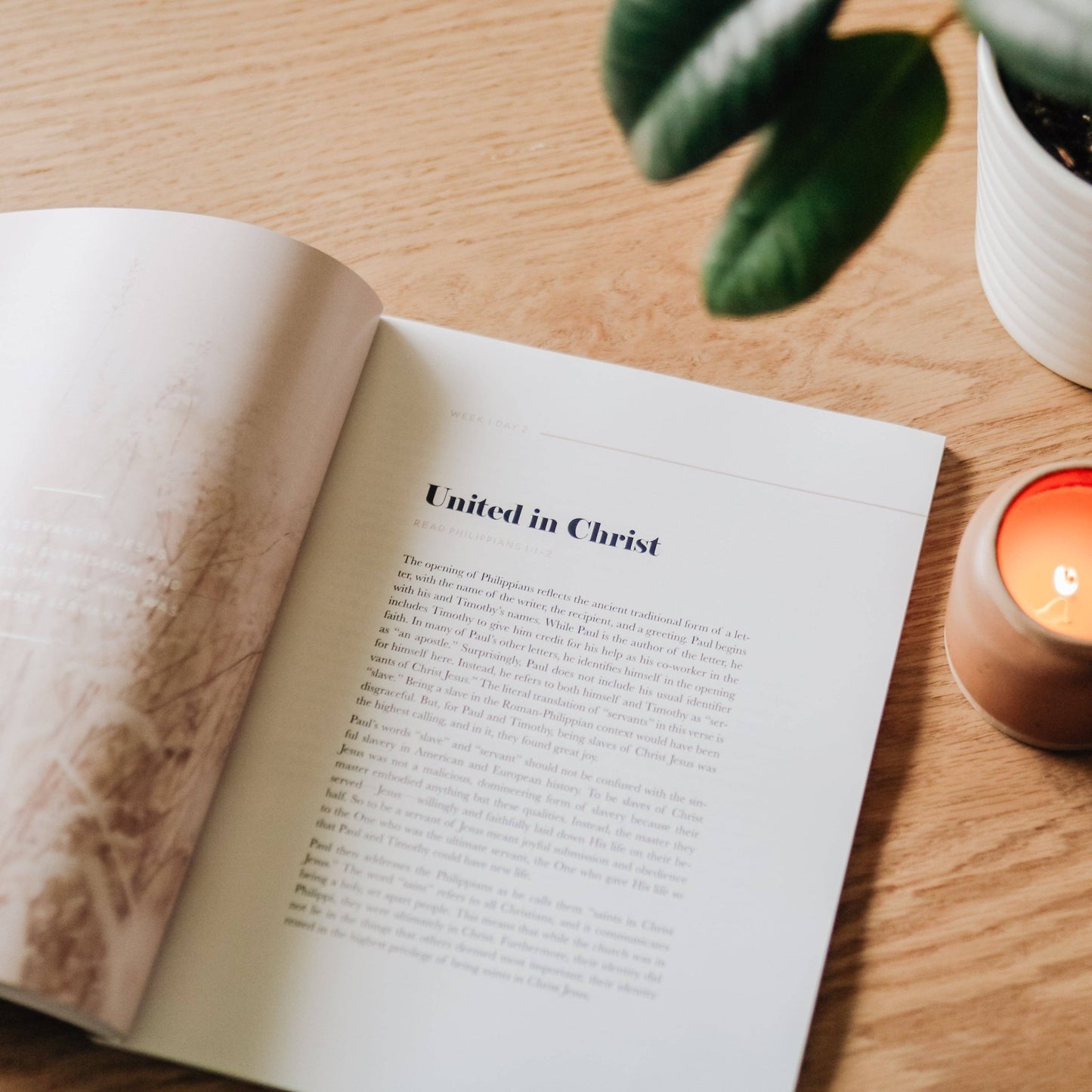 Fighting with Faith | Philippians Study - Purpose + Passion Boutique
