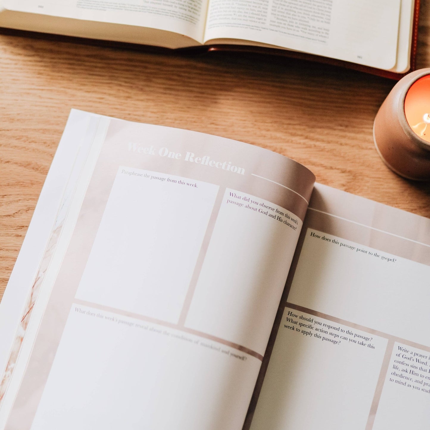 Fighting with Faith | Philippians Study - Purpose + Passion Boutique