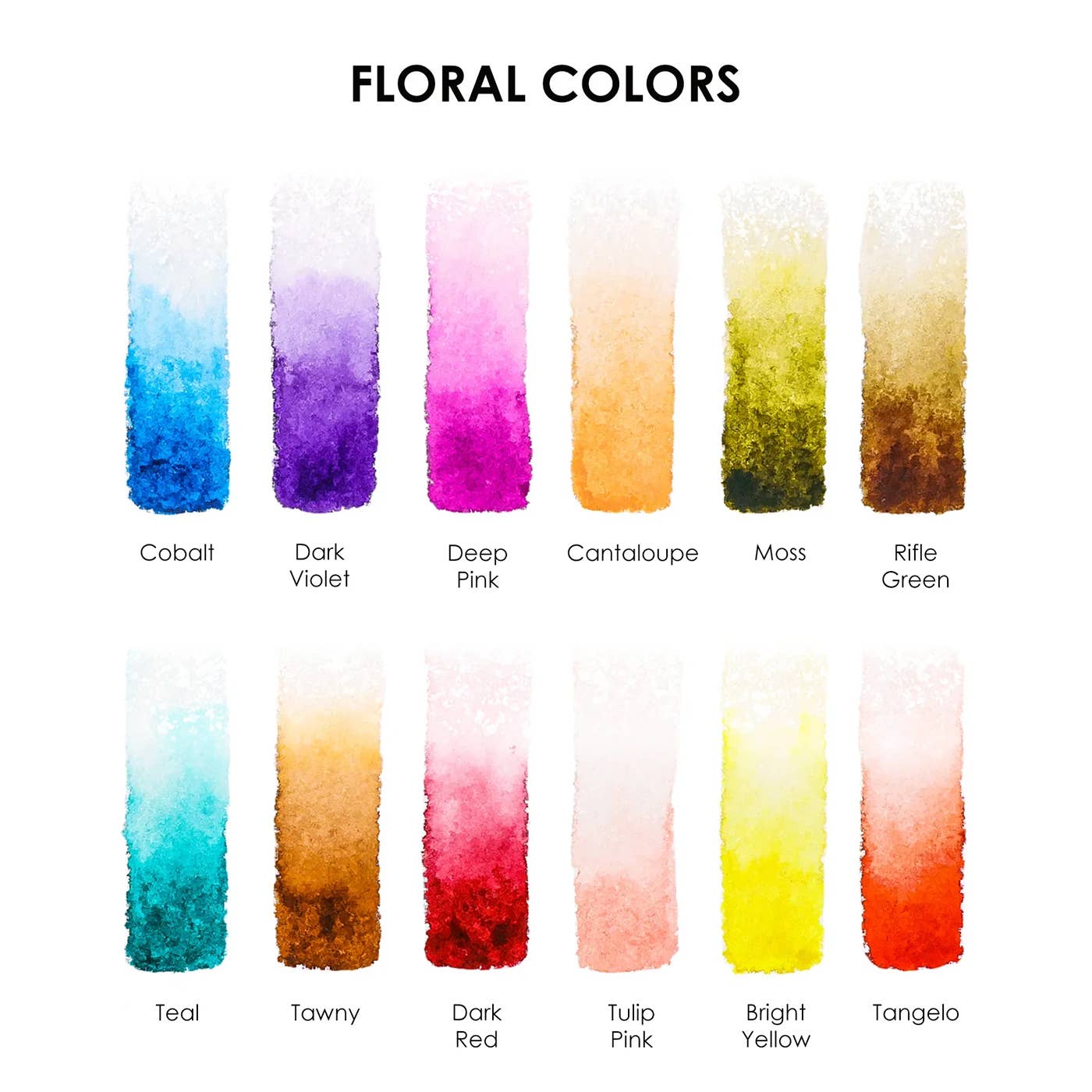 Floral Colors Watercolor Pocket Set Of 12 Paints + Brush - Purpose + Passion Boutique