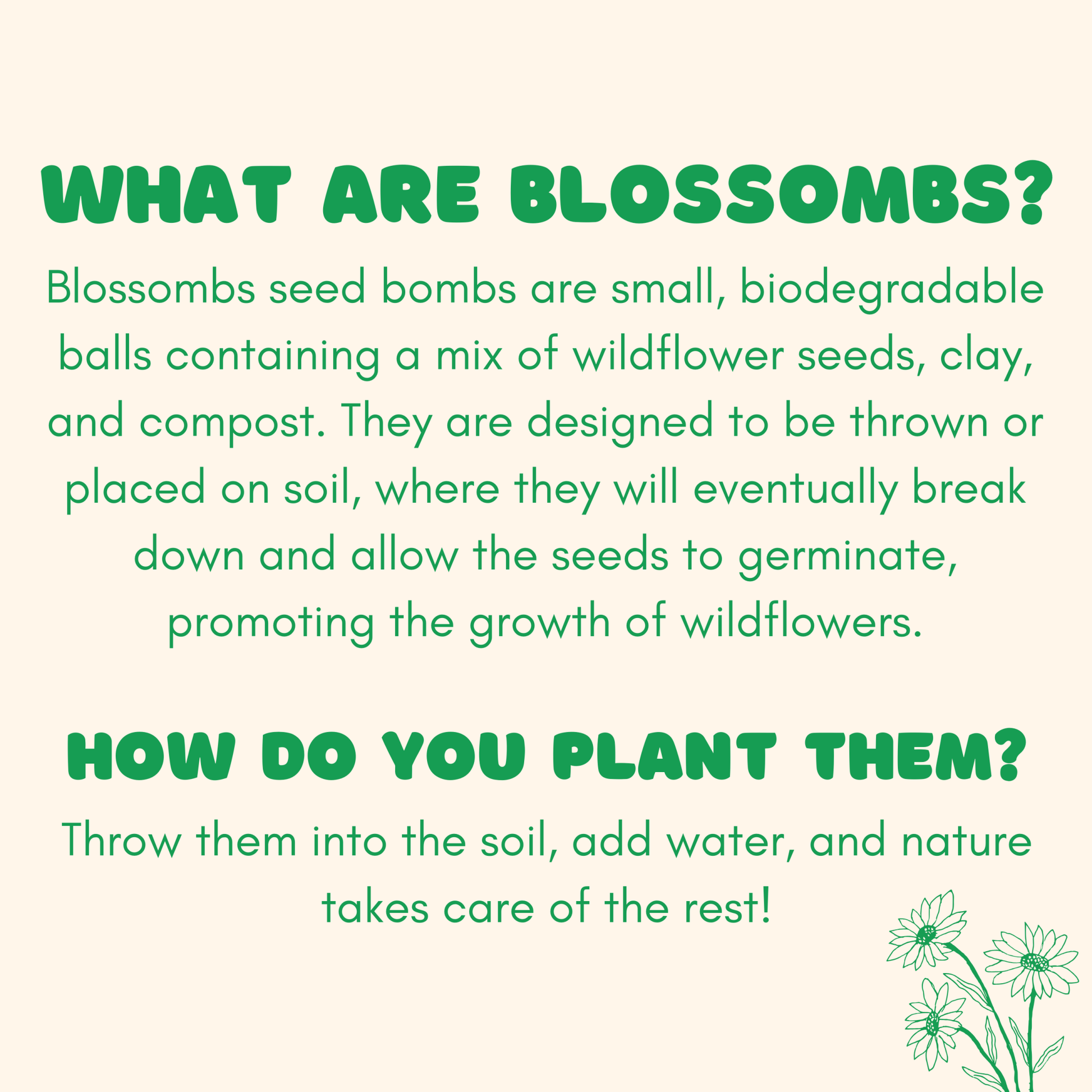 Flowers For You, 4 Seed Flower Balls - Purpose + Passion Boutique