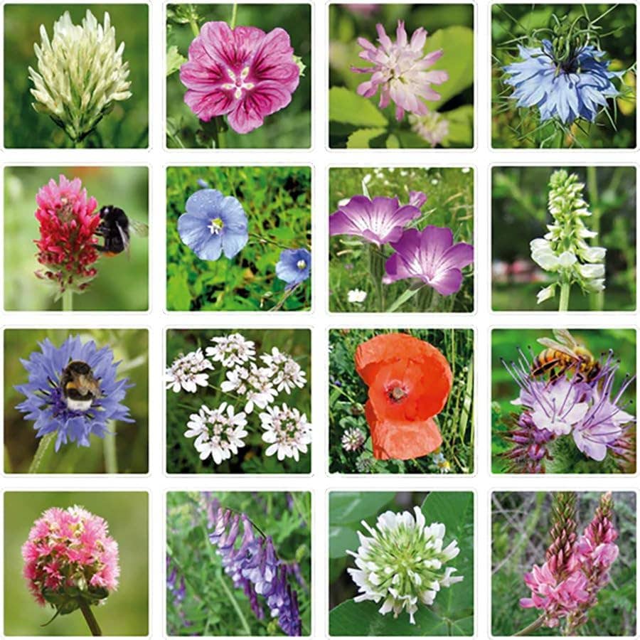 Flowers For You, 4 Seed Flower Balls - Purpose + Passion Boutique