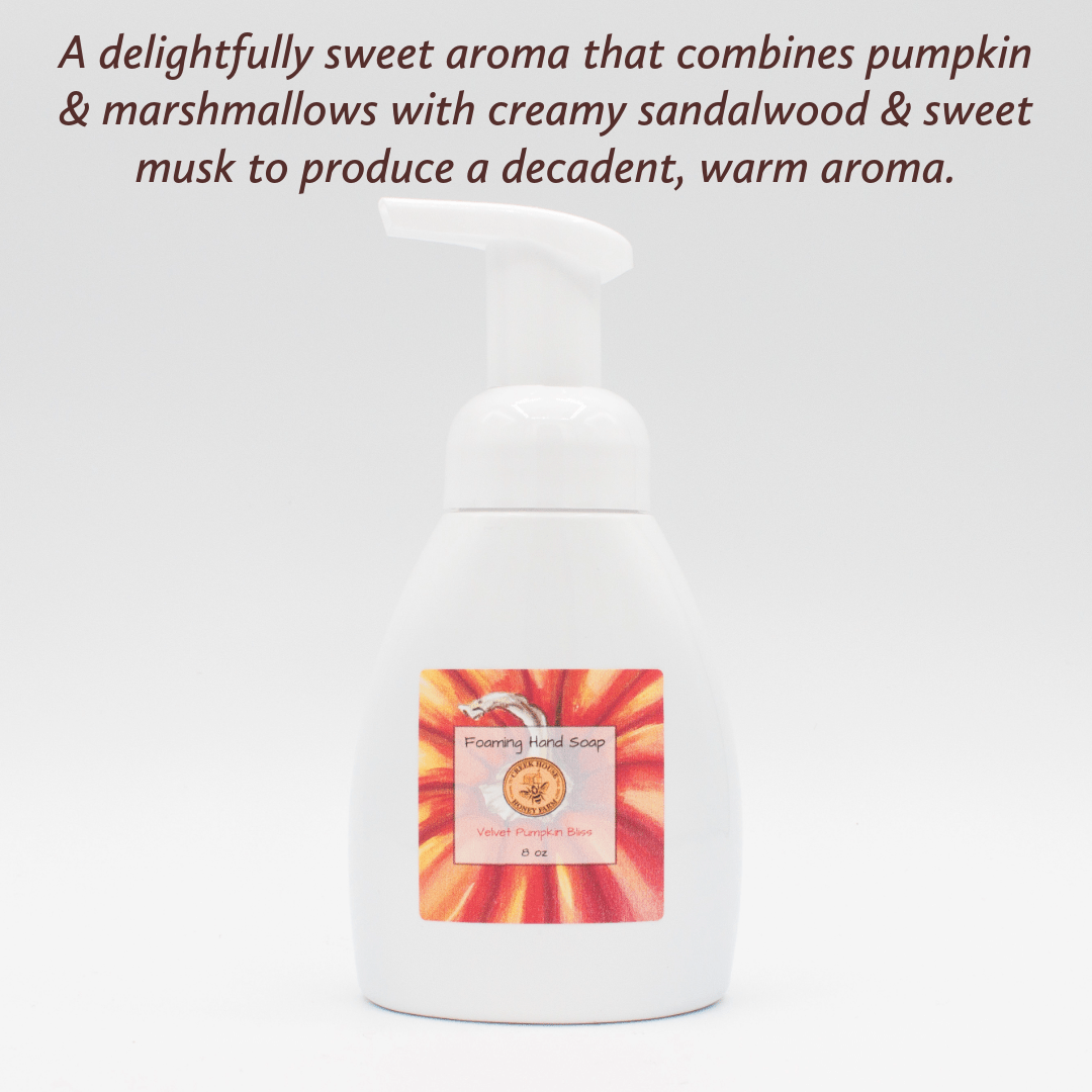Foaming Hand Soap - Purpose + Passion Boutique