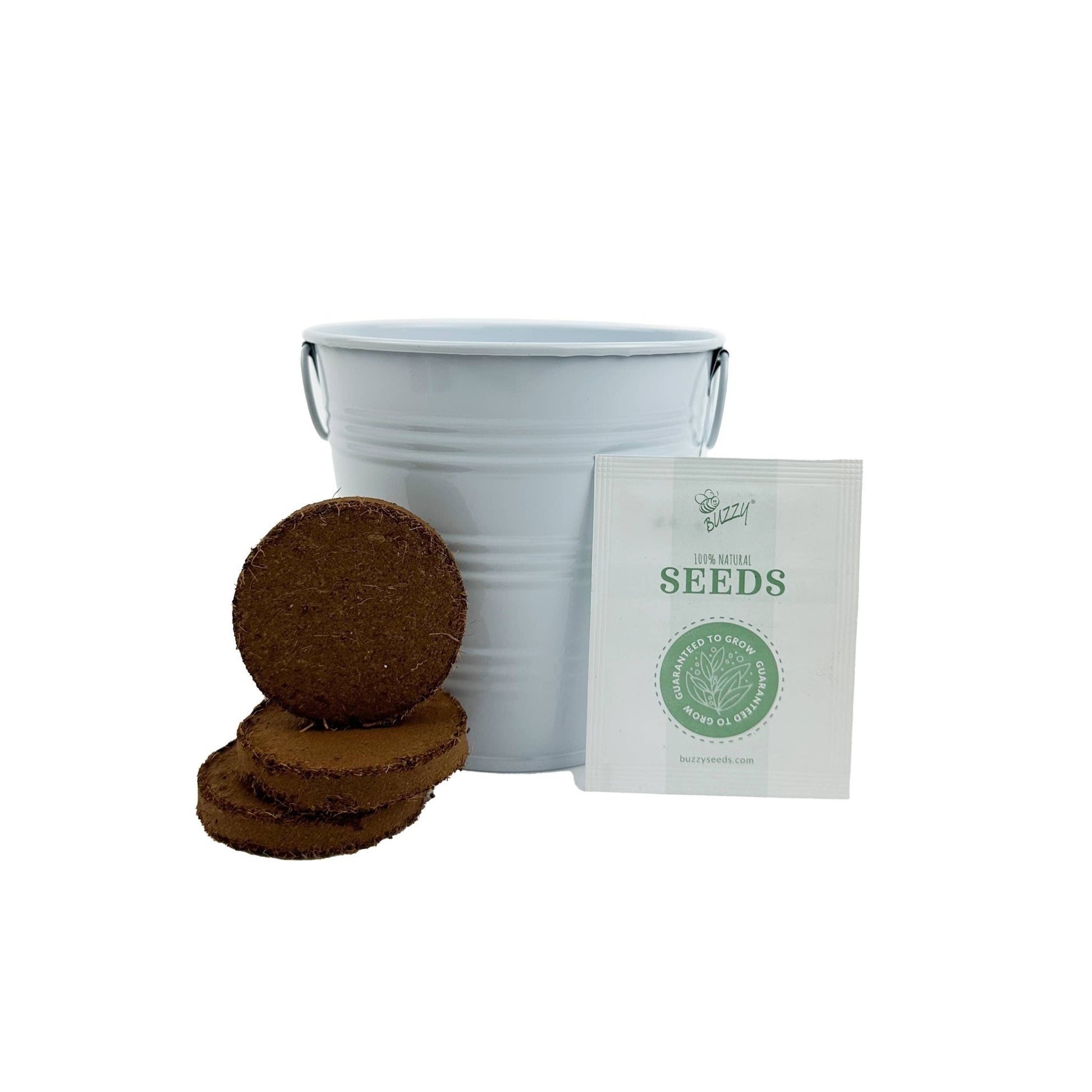 Forget - Me - Not Grow Kit Pail - Purpose + Passion Boutique