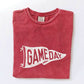 GAME DAY PENNANT Mineral Graphic Top - Purpose + Passion Boutique