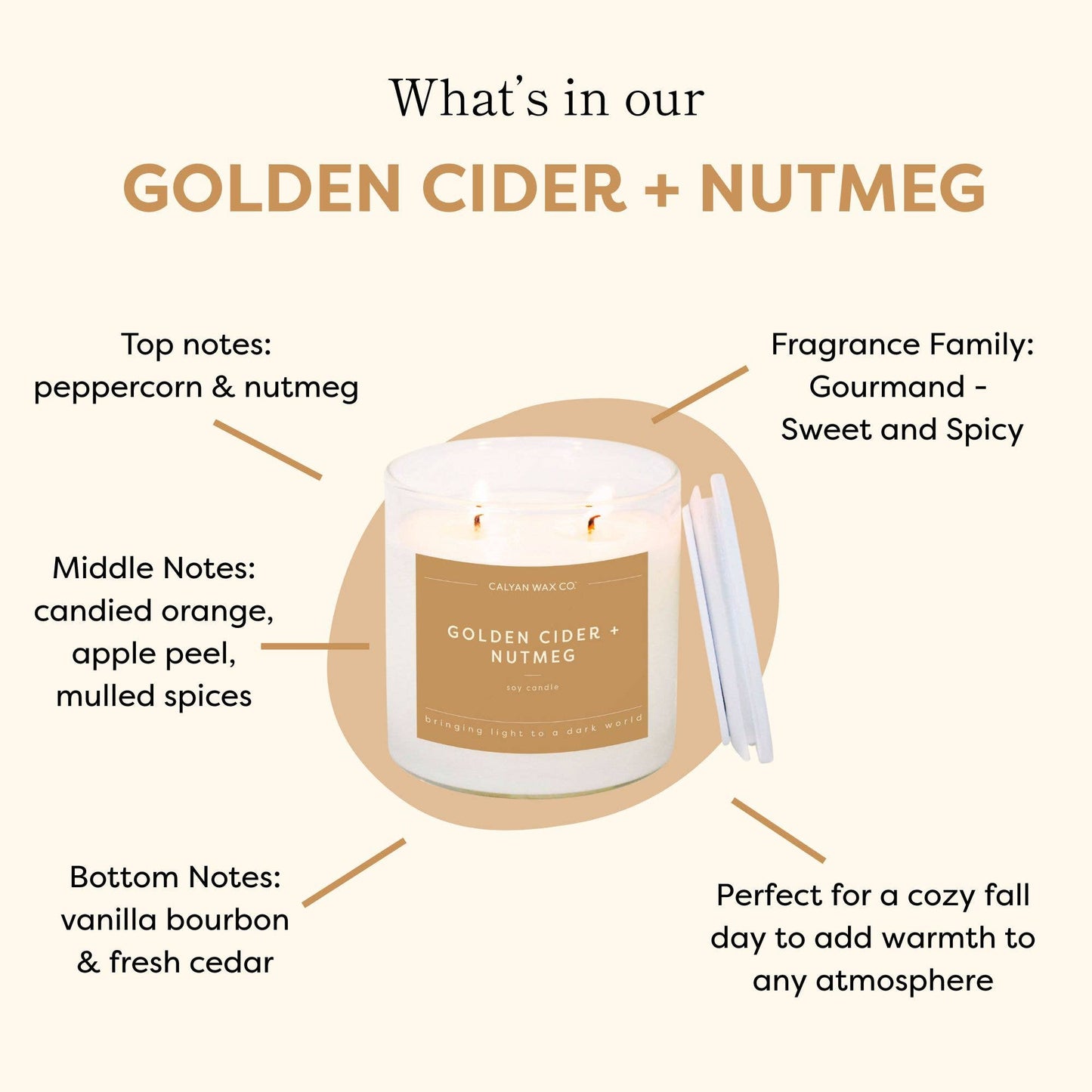 Golden Cider + Nutmeg Candle - Purpose + Passion Boutique