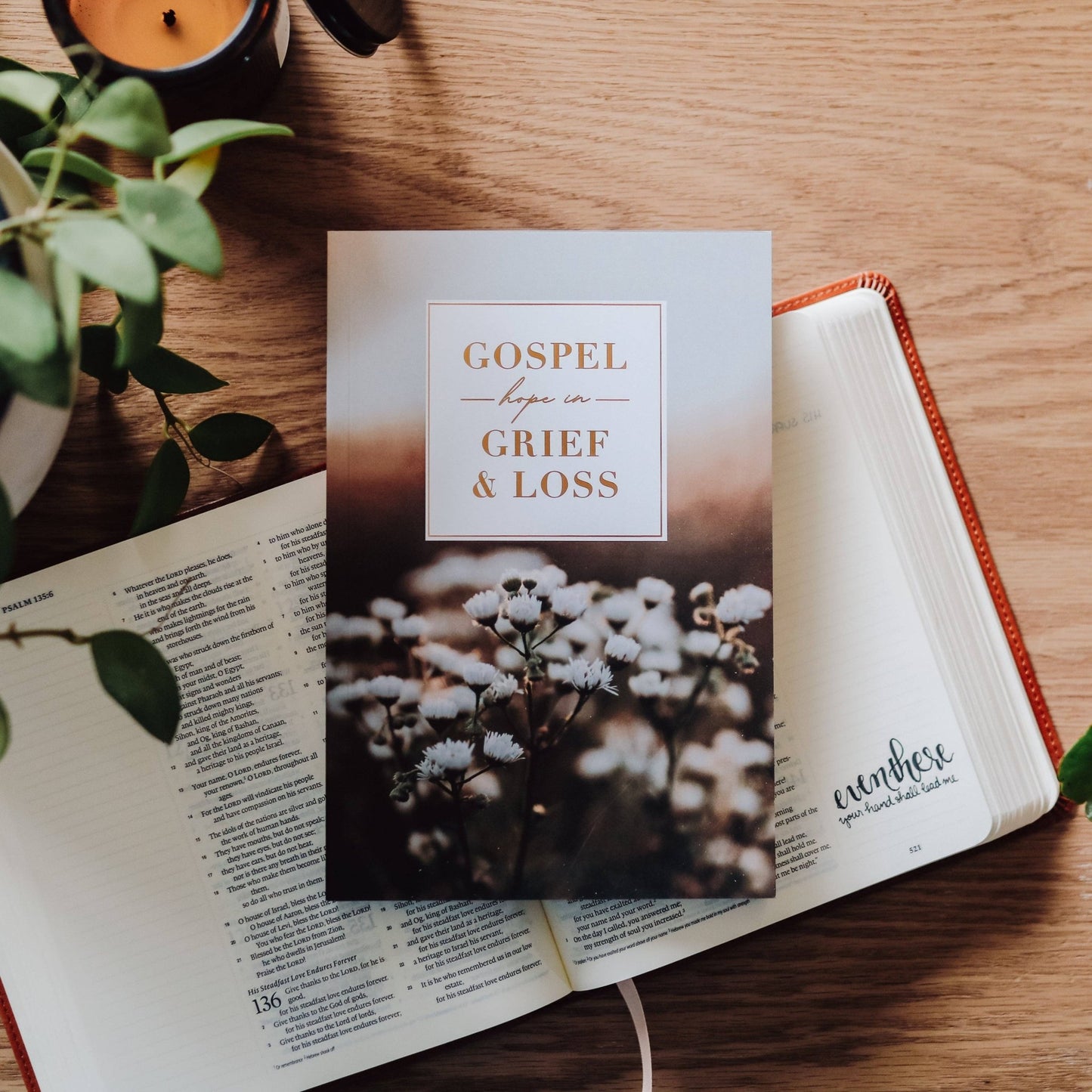 Gospel Hope in Grief and Loss - Purpose + Passion Boutique