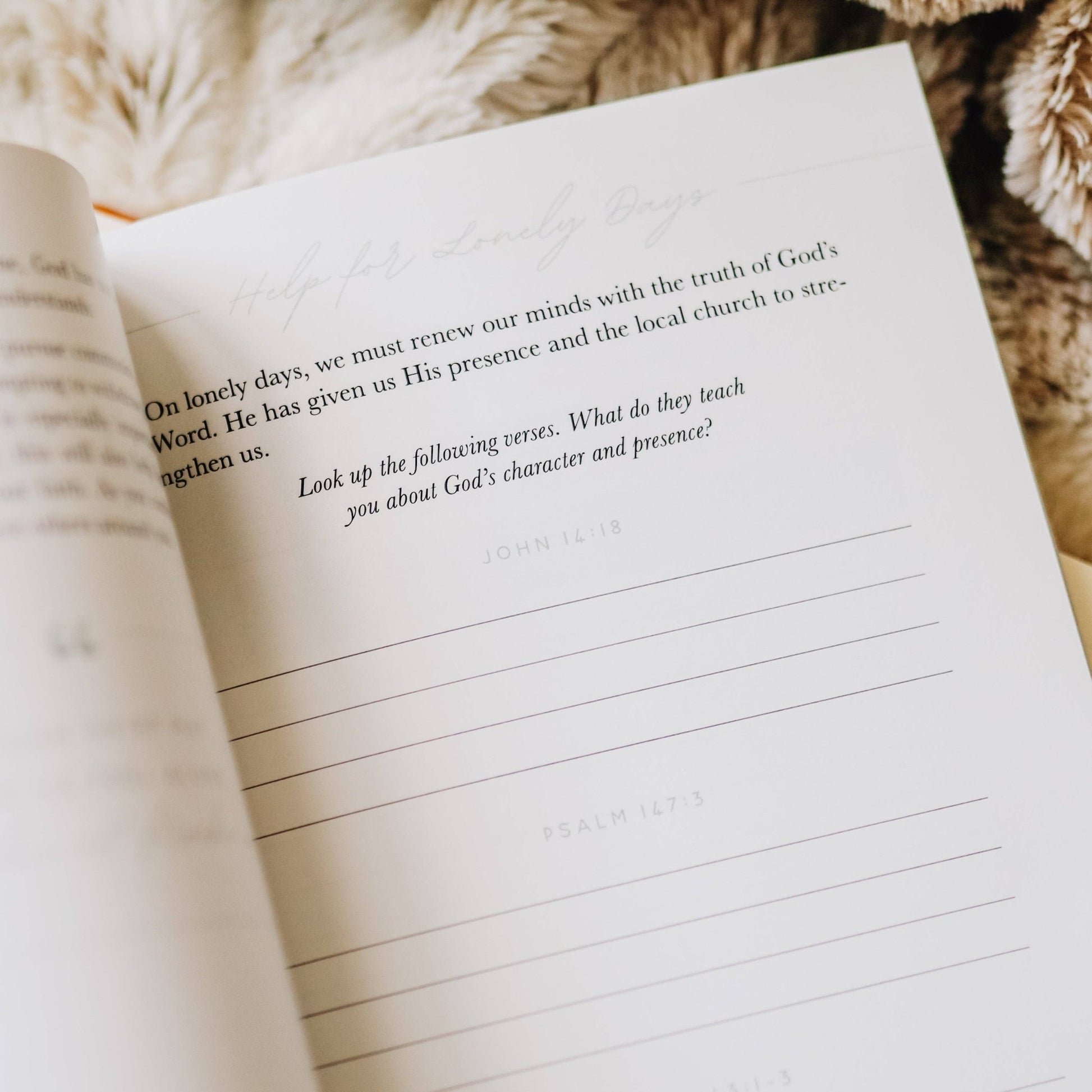 Gospel Hope in Grief and Loss - Purpose + Passion Boutique