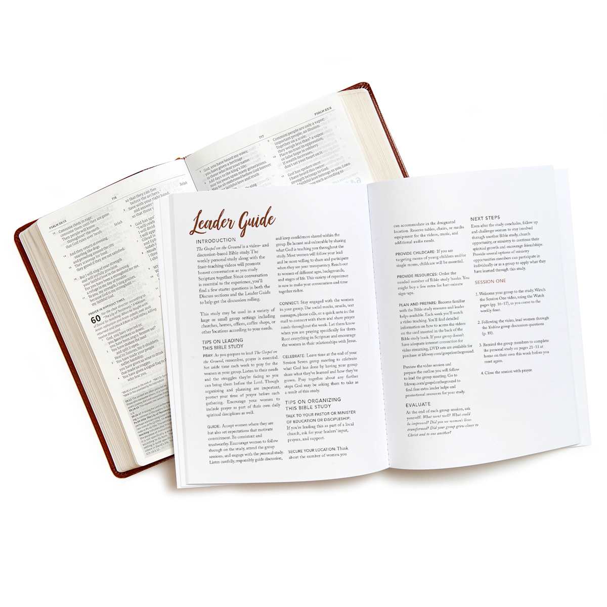 Gospel on the Ground - Bible Study Book with Video Access - Purpose + Passion Boutique