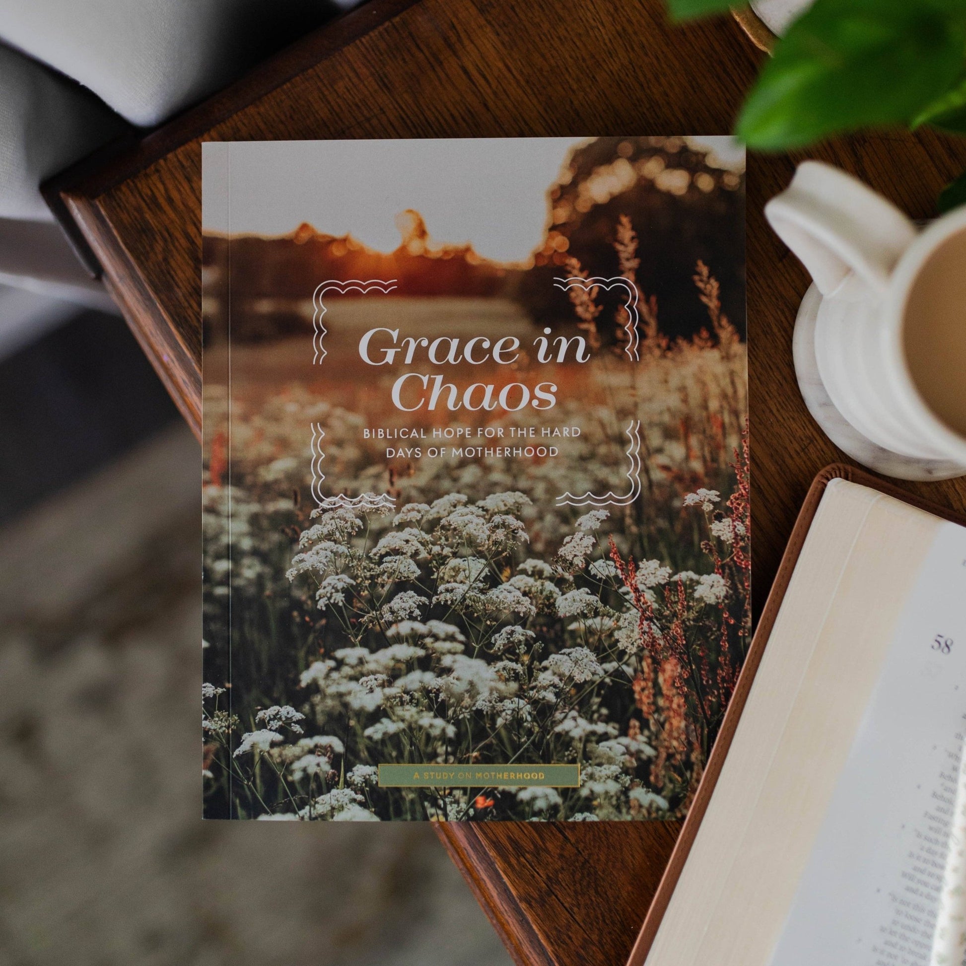 Grace in Chaos | Biblical Hope for the Hard Days of Motherhood - Purpose + Passion Boutique