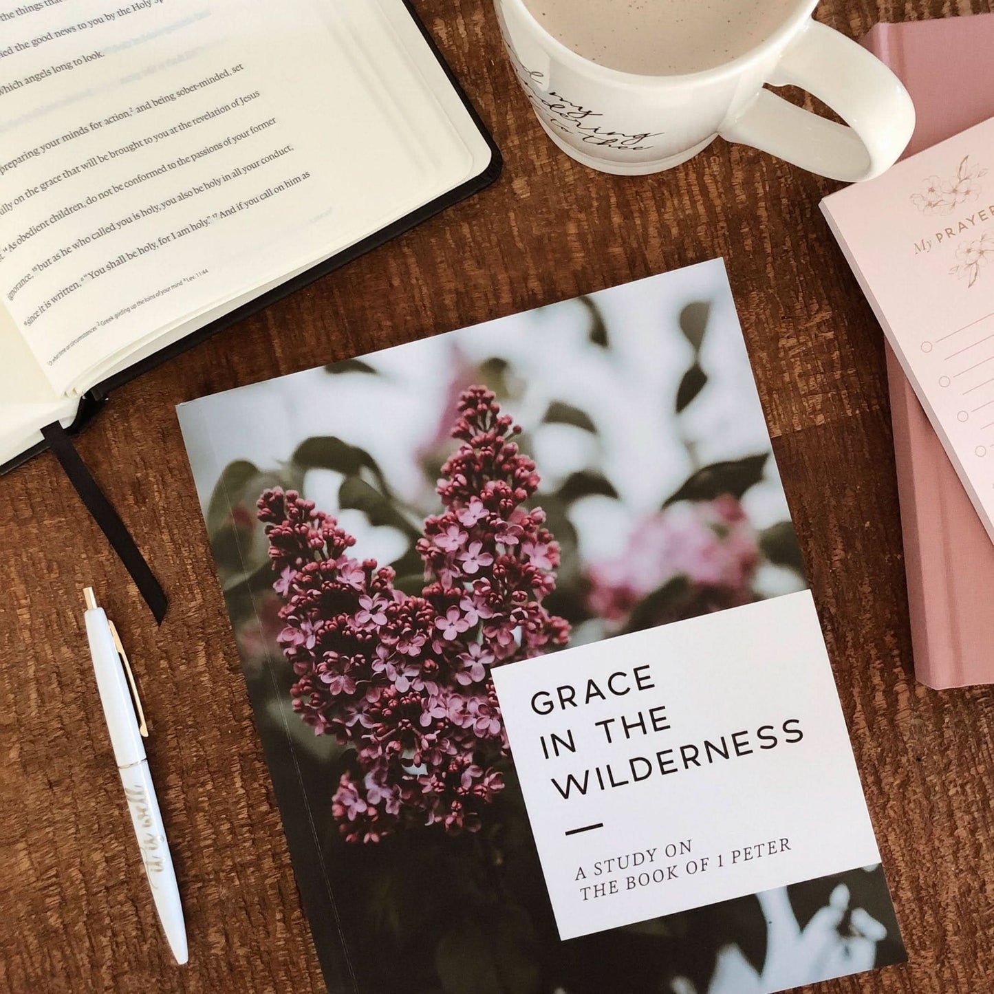 Grace in the Wilderness - Study on 1 Peter - Purpose + Passion Boutique