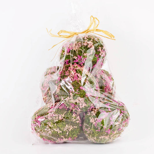 Green/Pink Moss Eggs - Purpose + Passion Boutique