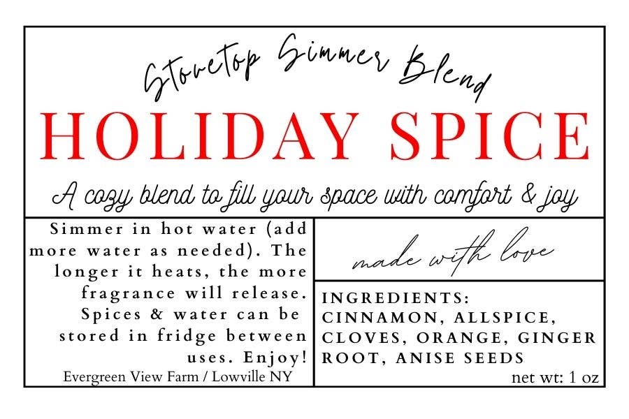 Holiday Spice Stovetop Simmer Pot Blend - Purpose + Passion Boutique