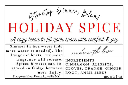Holiday Spice Stovetop Simmer Pot Blend - Purpose + Passion Boutique