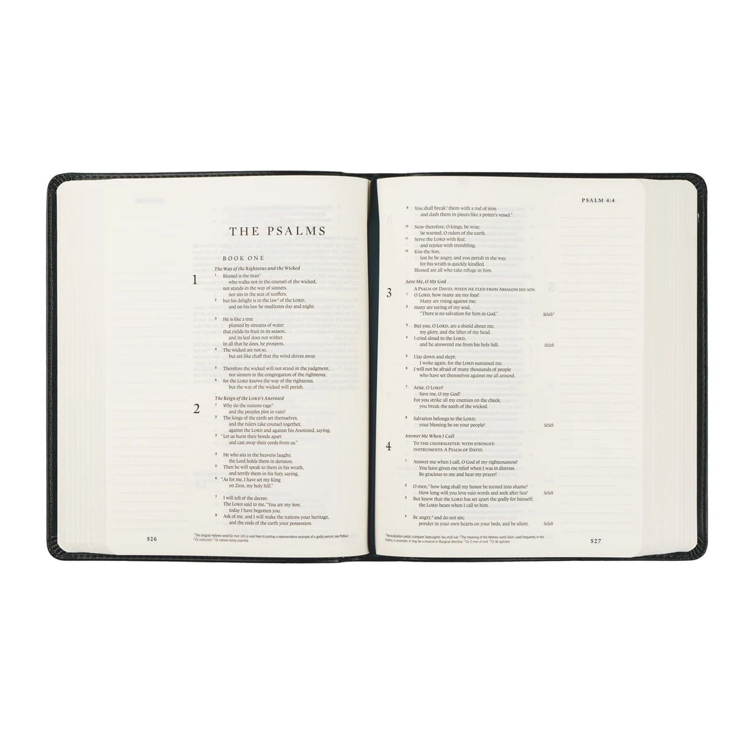 Hyde Park ESV Journaling Bible - Purpose + Passion Boutique