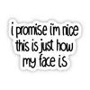I Promise I'm Nice This Is Just How My Face Is Text Sticker - Purpose + Passion Boutique