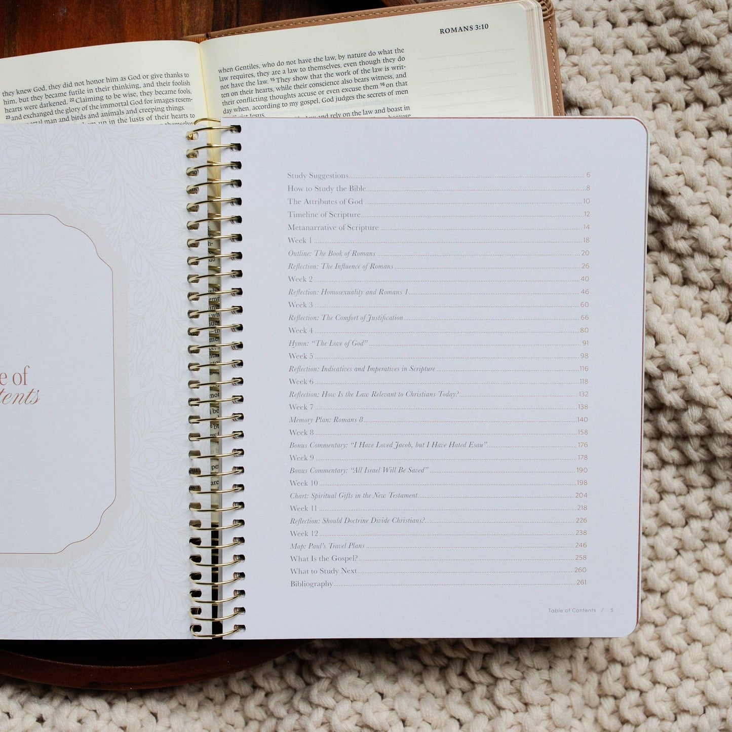In Christ Alone: A Study on the Book of Romans - Purpose + Passion Boutique